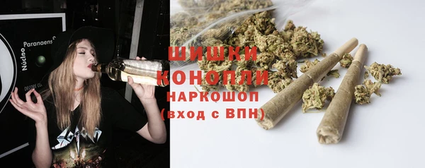 ALPHA-PVP Новозыбков