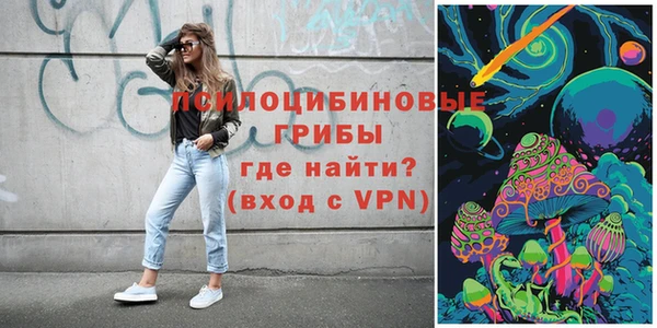 ALPHA-PVP Новозыбков
