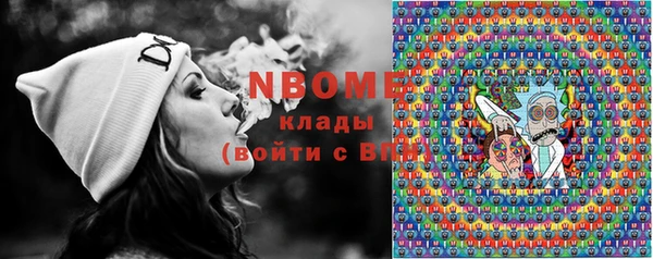 гашик Болотное
