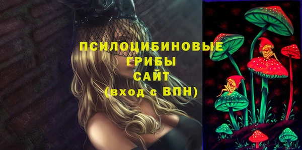 ALPHA-PVP Новозыбков