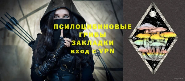 ГАЛЛЮЦИНОГЕННЫЕ ГРИБЫ Новокубанск