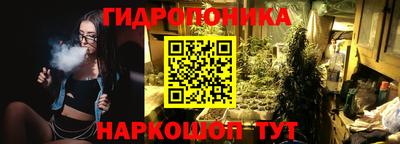 крисы Апшеронск