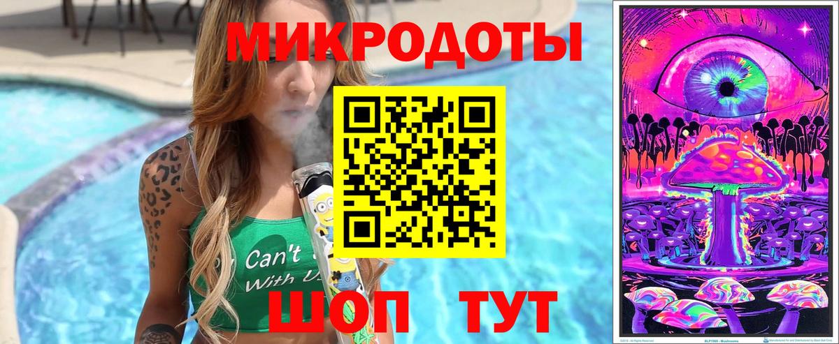 Галлюциногенные грибы Psilocybe Борисоглебск