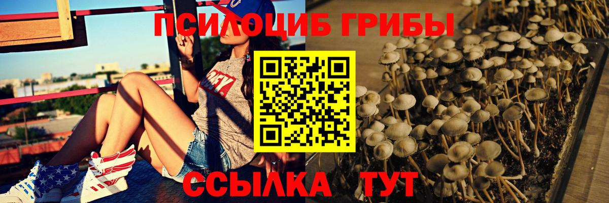 Псилоцибиновые грибы ЛСД  Борисоглебск 