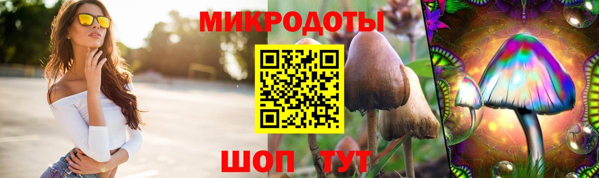Псилоцибиновые грибы Psilocybine cubensis Борисоглебск