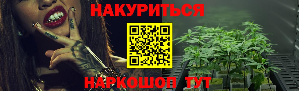 Бошки марихуана ГИДРОПОН Борисоглебск